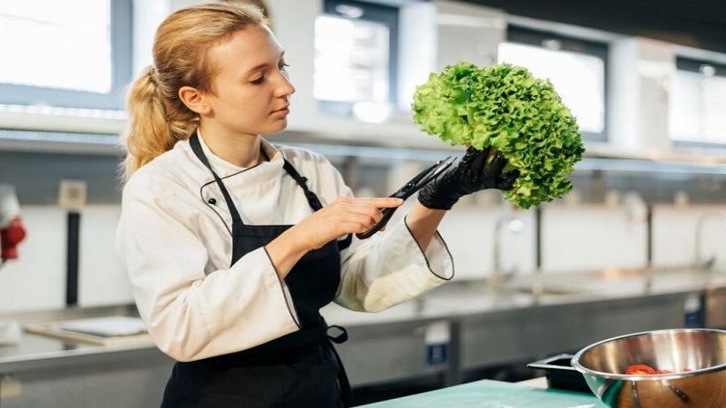 Green Clean Cuisine: Transforming Restaurant Hygiene Through Sustainability
